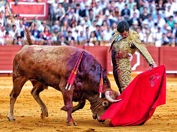 Estimulado por la actuaci�n anterior