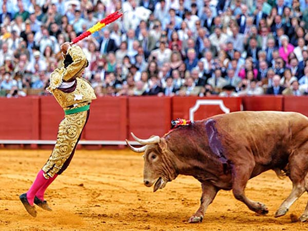 En la cara del colorado