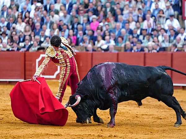 EJemplar con buen son