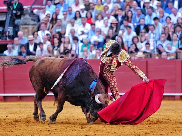 Por el pit�n izquierdo