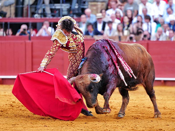 Salv� el honor de su divisa