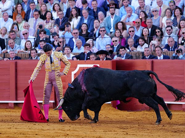 Reposo y verticalidad