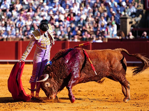 Primer turno de Talavante