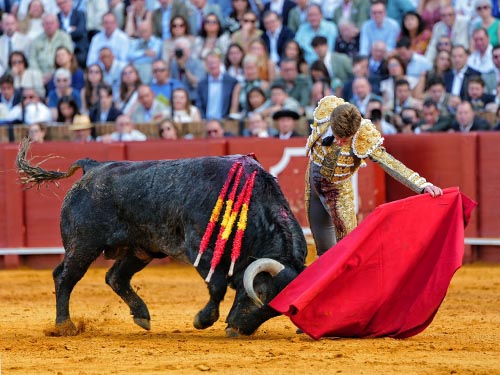 Ni Escribano ni Jim�nez apuran una brava