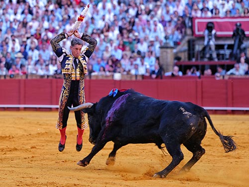 H�bil banderillero