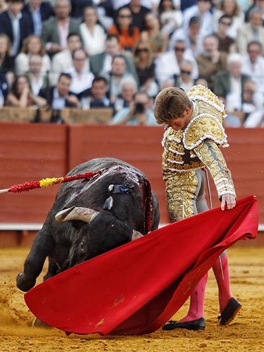 Tirando del ejemplar