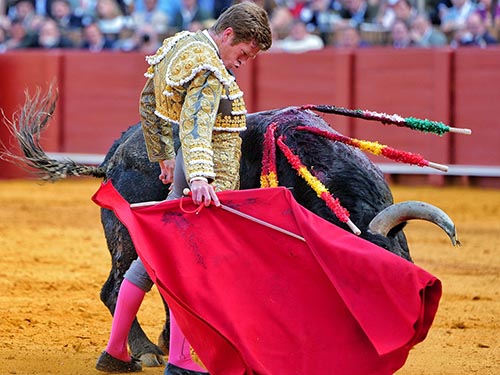 En torero