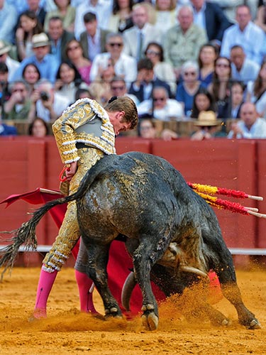 Entonado por el izquierdo