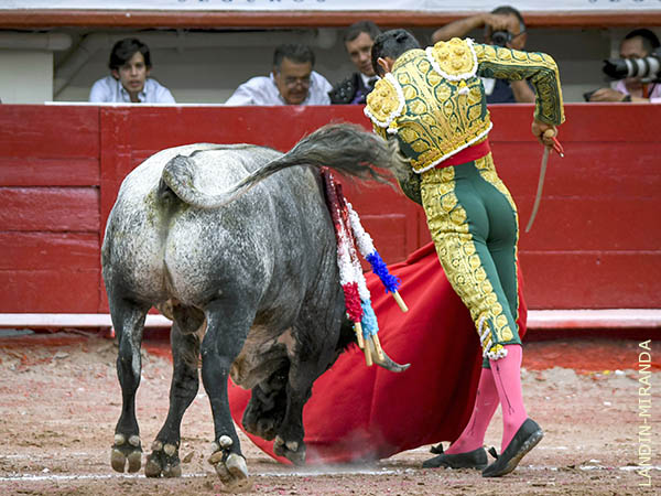 Cuando el toreo es caricia