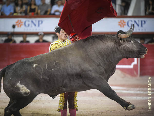 Actitud encomiable en el obsequio