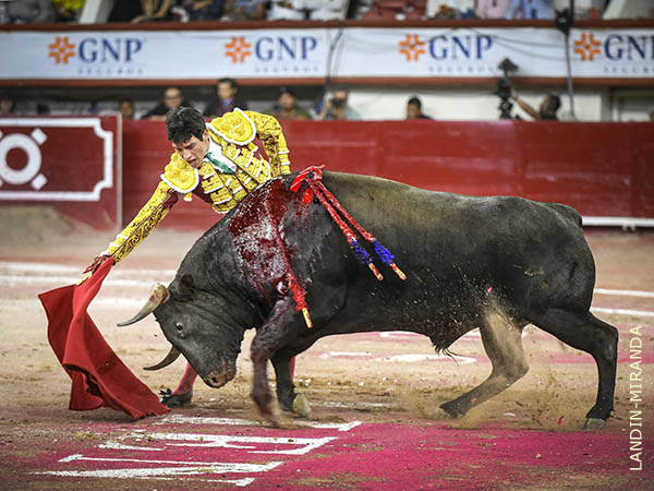 Anbici�n y facilidad de conexi�n