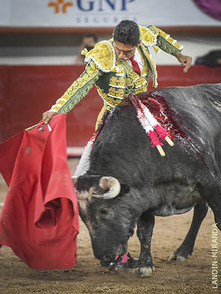 Su acusado trazo y temple