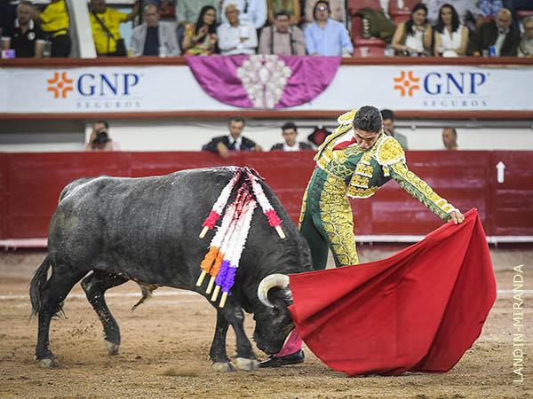 Coreado en los naturales