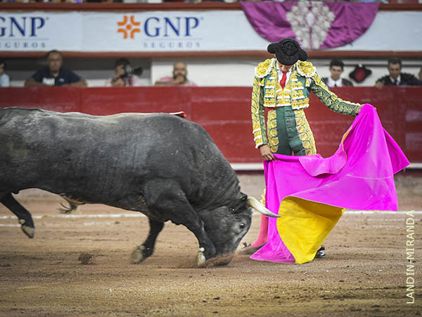 Las ver�nicas de H�ctor