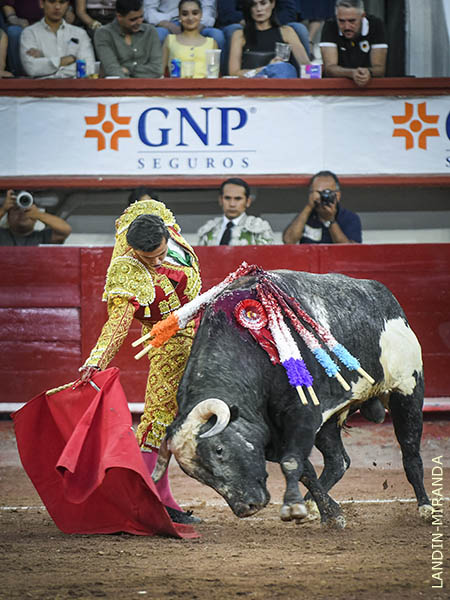 Diego, muletazos templados y recios