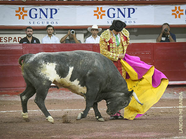 Humill� con categor�a