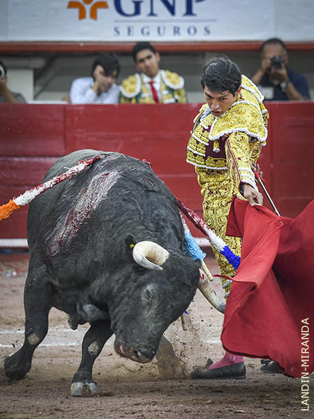 La izquierda de Fonseca