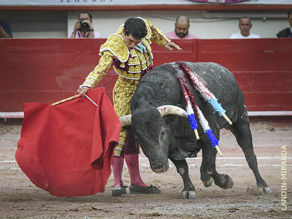 Ejemplar que apunt� mejor condici�n