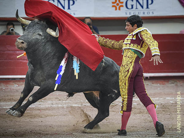 Espectacular arrebato