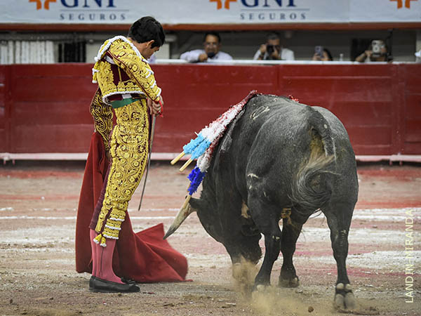 Desmayando el enga�o