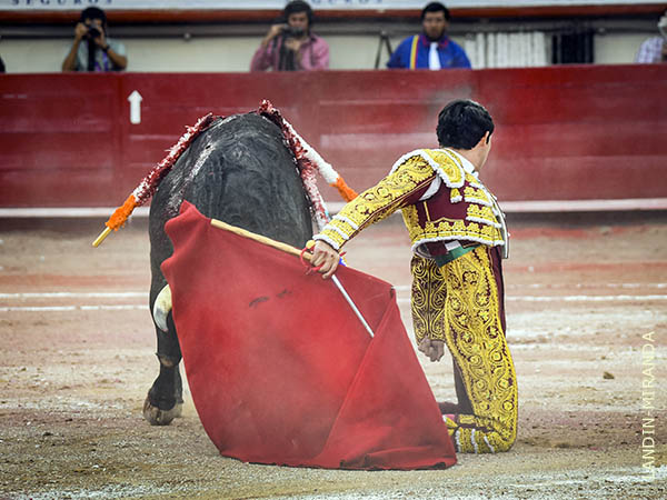 Dos vibrantes p�ndulos de rodillas