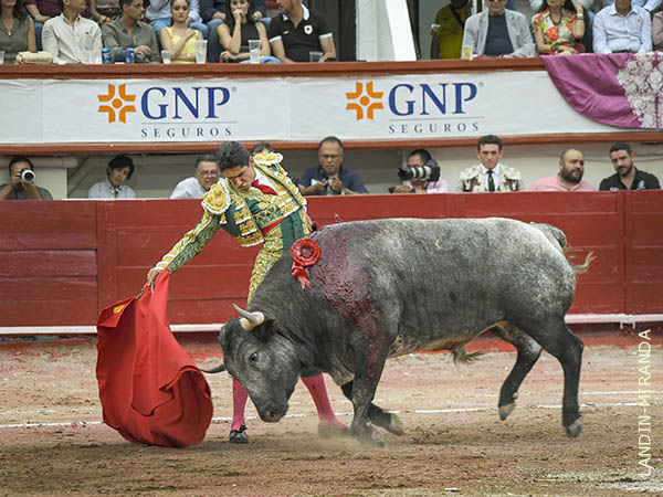 Compresi�n y cari�o en el trato