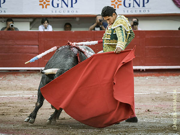 Toro que le pidi� del toreo una caricia