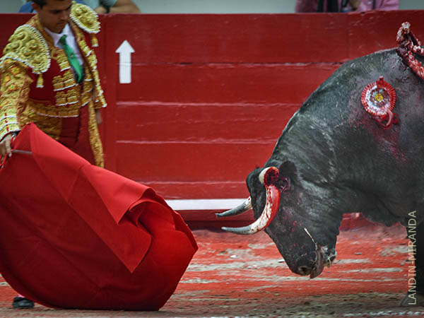 Mala fortuna de Diego en su primero