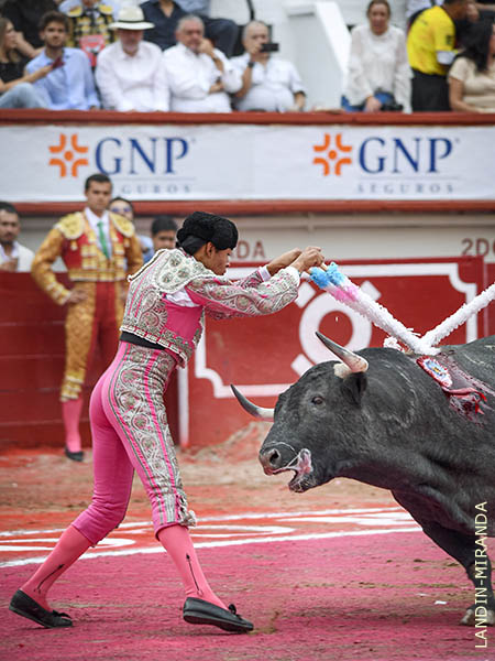 Kevin, present� examen profesional