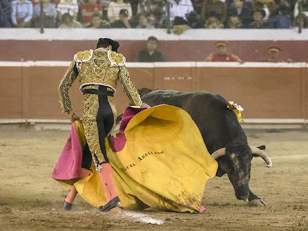 Al paso, rumbo al caballo