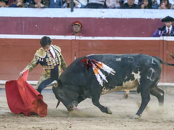 Sometiendo al jir�n