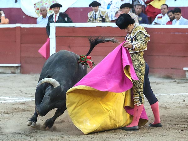 Sentimiento en las ver�nicas