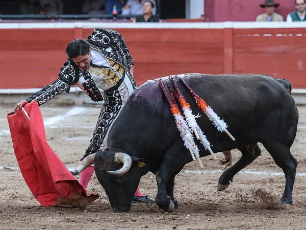 Emotivo en su trasteo