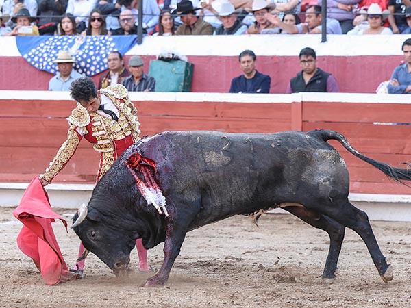 Templado en las tandas