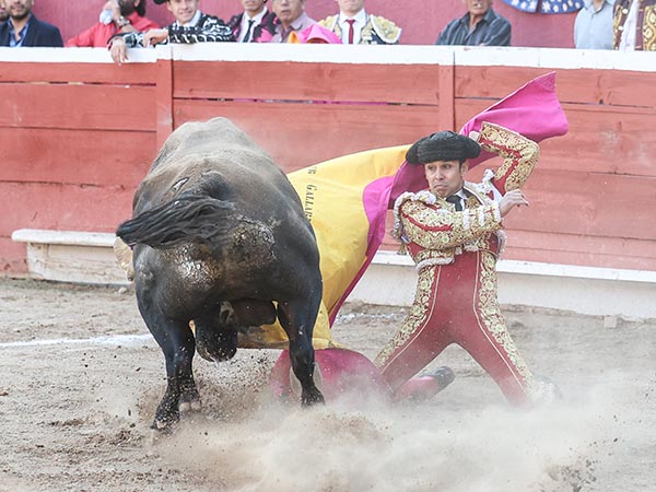Gallardo acusa de recibo