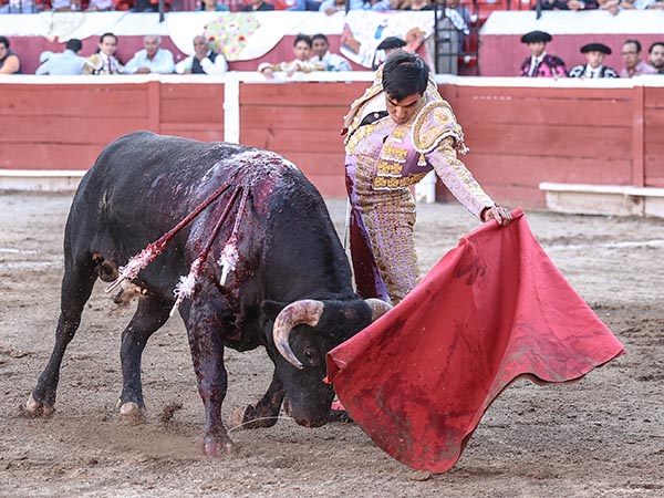 Dominio de las alturas