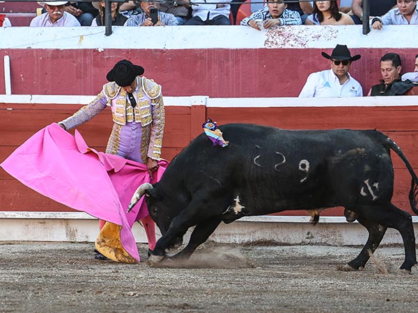 Romero, en la lidia ordinaria