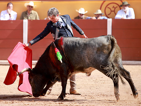 Serio Novillo de Tenexac