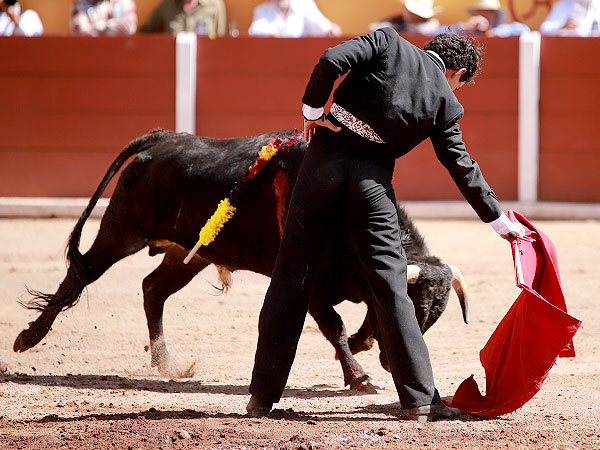 Extraordinario Novillo de El Grullo