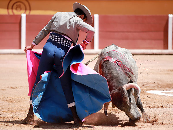 Jos� Luis Angelino