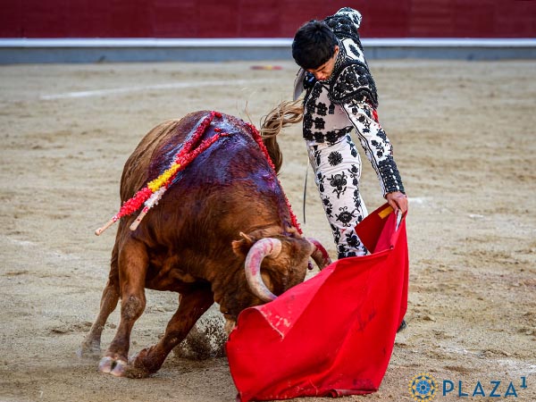 Dimensi�n al natural