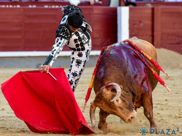 Series conseguidas con empe�o