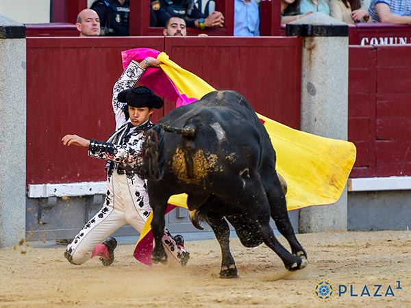 Larga de Tom�s Bastos