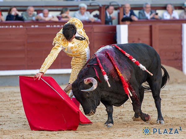 La cara a media altura