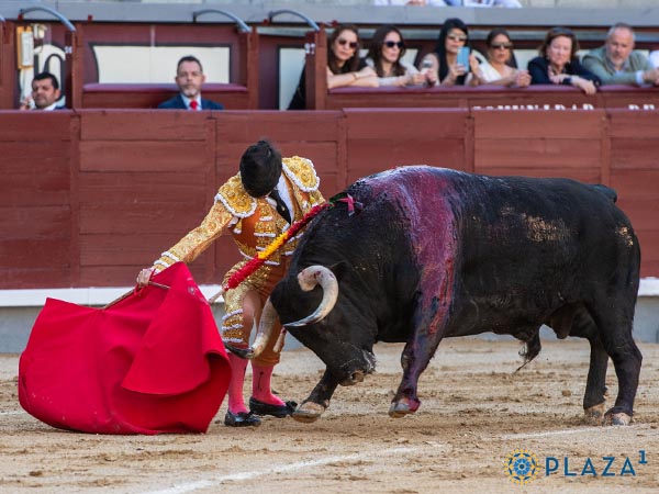 El Mella abre la novillada