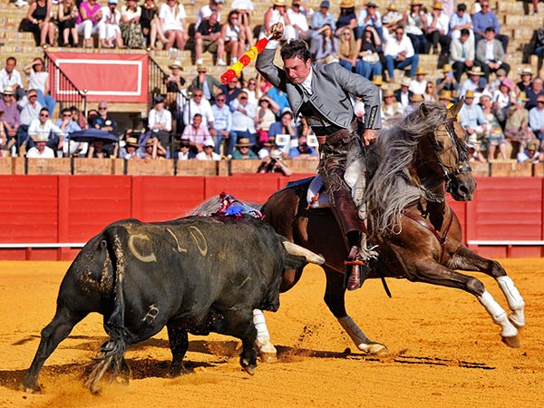 En los medios del ruedo