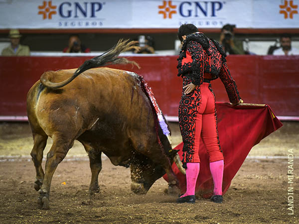 Relajado en la faena