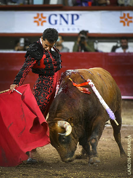 Ce�idas tandas en los medios