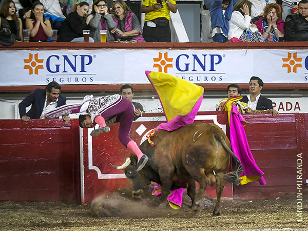 El astado alcanz� a Nazareth