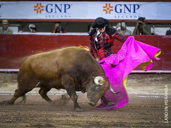 Un colorado hornero de Julio Delgado